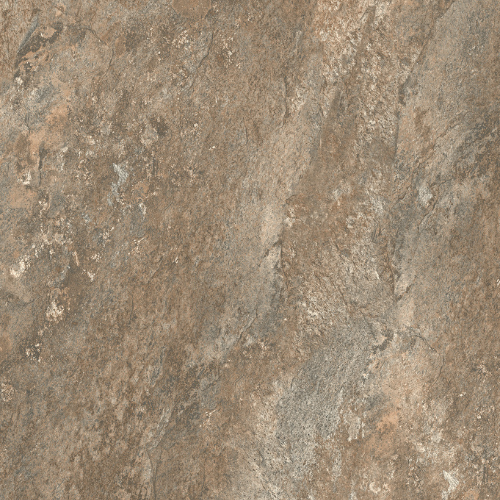 Oyster (Rough Bruno)