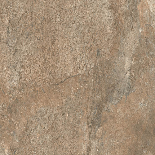 Oyster (Rough Bruno)