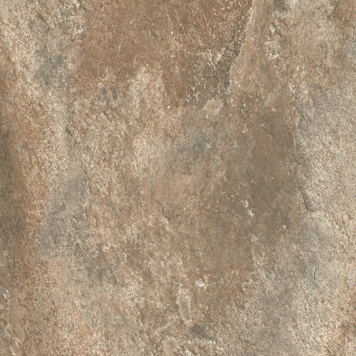 Oyster (Rough Bruno)