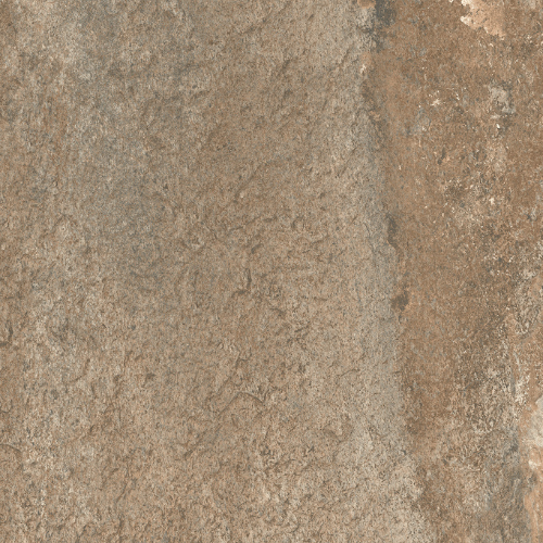 Oyster (Rough Bruno)