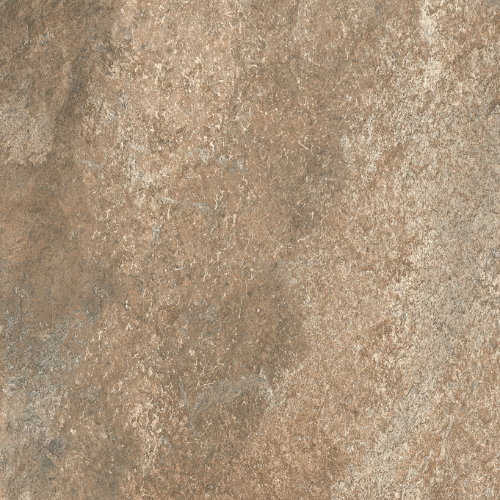 Oyster (Rough Bruno)