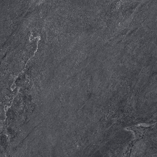 Himalayan Black