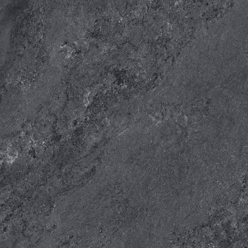 Himalayan Black