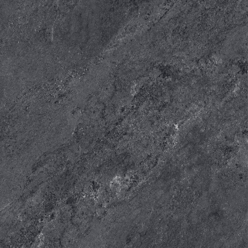 Himalayan Black