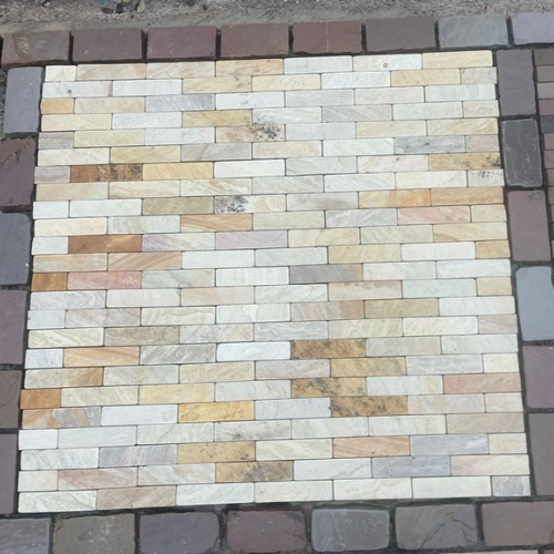 Fossil Buff Pavers